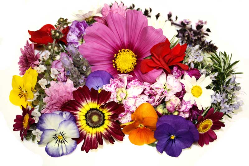 Hương hoa là mùi hương quen thuộc nhất của các loại nước hoa cao cấp
