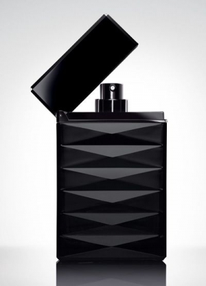 Nước hoa Attitude Extreme - Photo 6 Nước hoa Giorgio Armani Attitude Extreme - Photo 6