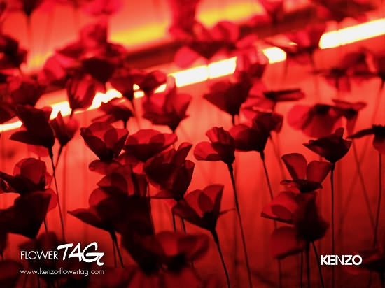 Nước hoa Flower Tag - Photo 4 Nước hoa Kenzo Flower Tag - Photo 4