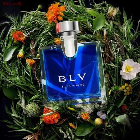 Nước hoa Bvlgari BLV Pour Homme - Photo 5