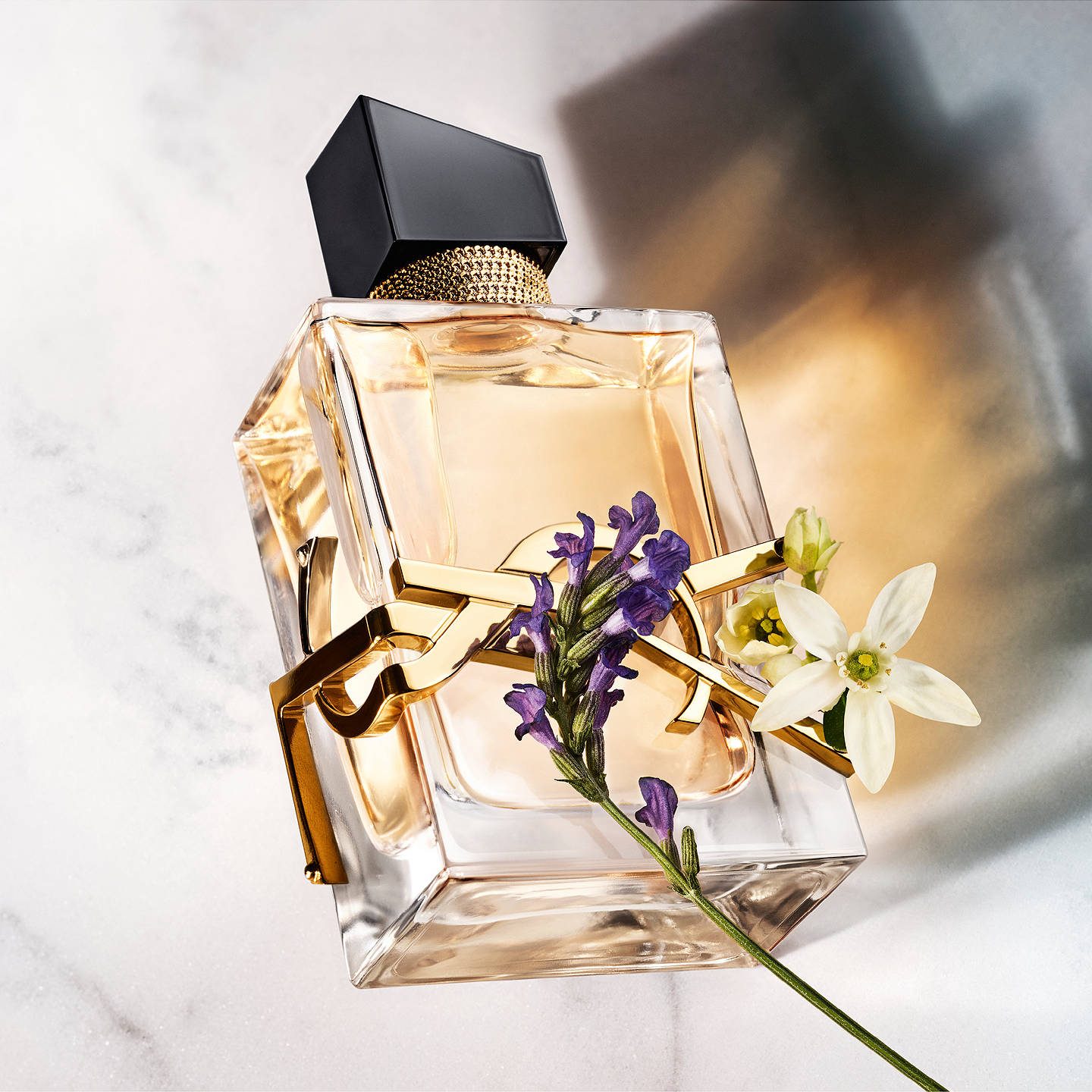 Nước Hoa Yves Saint Laurent Libre EDP