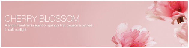 Xịt toàn thân Bath & Body Works Cherry Blossom Fine Fragrance Mist - Photo 3