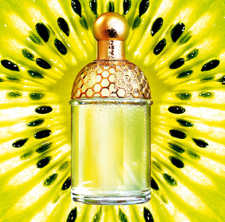 Nước hoa Aqua Allegoria Tutti Kiwi - Photo 3 Nước hoa Aqua Allegoria Tutti Kiwi - Photo 3