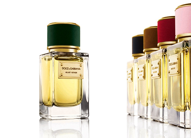 Nước hoa Velvet Vetiver Nước hoa D&G Velvet Vetiver