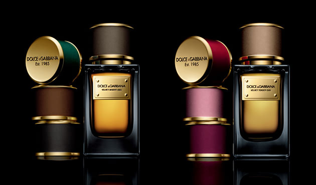 Nước hoa Velvet Vetiver - Photo 5 Nước hoa D&G Velvet Vetiver - Photo 5