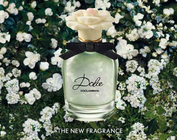 Nước hoa lớn Dolce - Photo 5 Nước hoa D&G Dolce - Photo 5