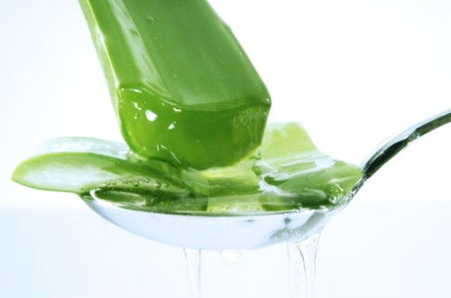 Trang điểm Son dưỡng Fran Wilson Aloe Lip Care - Photo 5 Son dưỡng Fran Wilson Aloe Lip Care - Photo 5