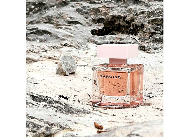 Nước hoa lớn Narciso Rodriguez Cristal - Photo 4 Narciso Rodriguez Cristal - Photo 4