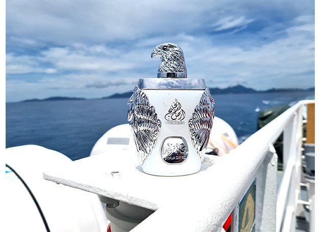 Ghala Zayed Luxury Silver - Photo 6