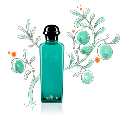 Nước hoa Eau d`Orange Verte Hermes for women and men - Photo 6 Nước hoa Hermes Hermes Eau Dorange Verte - Photo 6