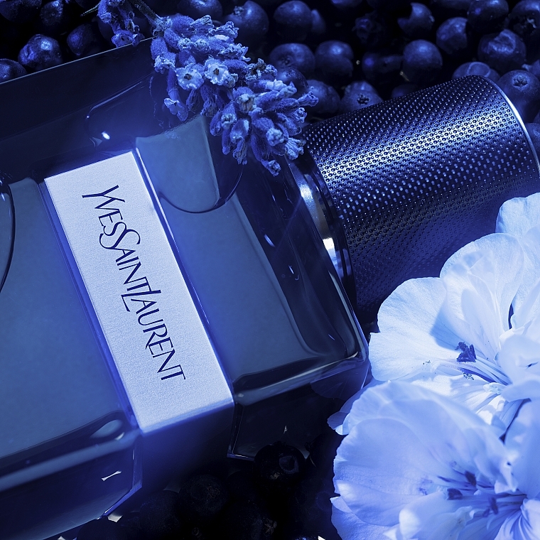 Nước hoa lớn Yves Saint Laurent Y Intense - Photo 3 Nước Hoa Yves Saint Laurent Y Intense - Photo 3