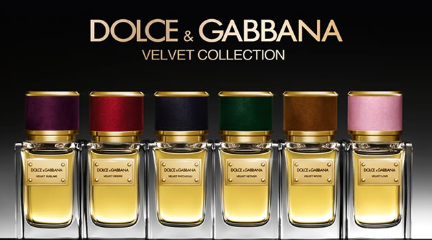 Nước hoa Velvet Patchouli - Photo 4 Nước hoa D&G Velvet Patchouli - Photo 4