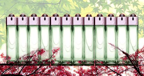 Nước hoa Addict 2 Eau Fraiche - Photo 4 nước hoa Dior Addict 2 Eau Fraiche - Photo 4