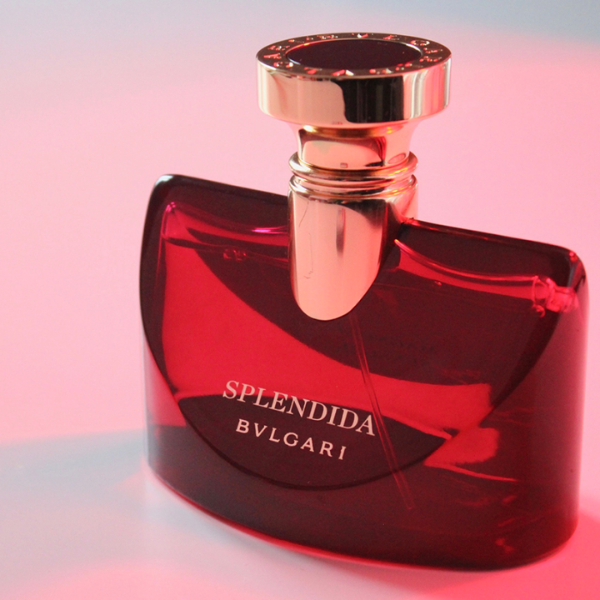 Nước Hoa Bvlgari Splendida Magnolia Sensuel - Photo 3